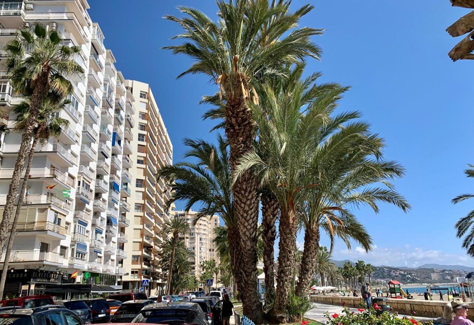 Estudio En Playa La Malagueta Málaga Dış mekan fotoğraf